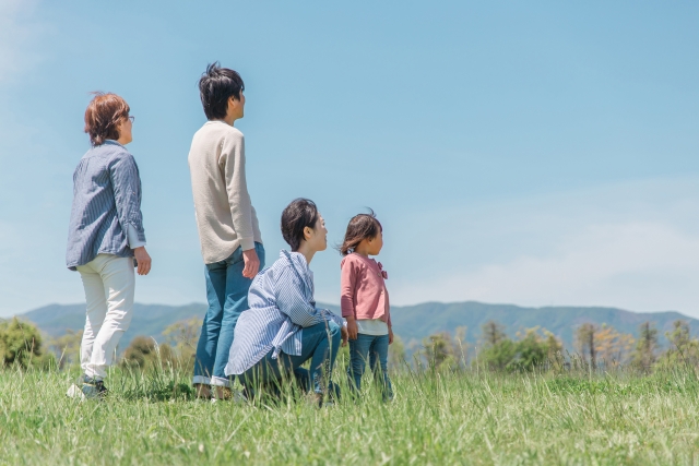 family | ELEMOs